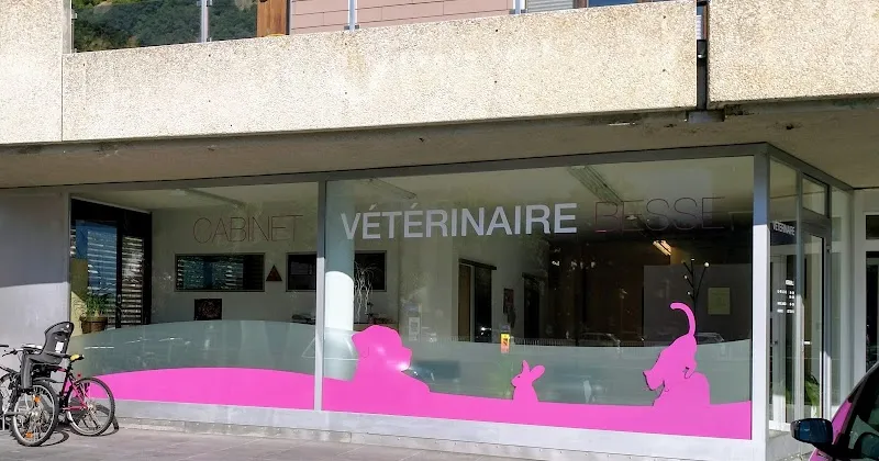 Cabinet Vétérinaire Besse Anne Françoise — Tierarzt in Martigny, Wallis. Bewertung 4.4/5.