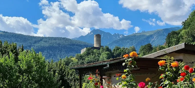 Cabinet Vétérinaire Christine Daves SA — Vétérinaire, Martigny, Valais. Foto 3