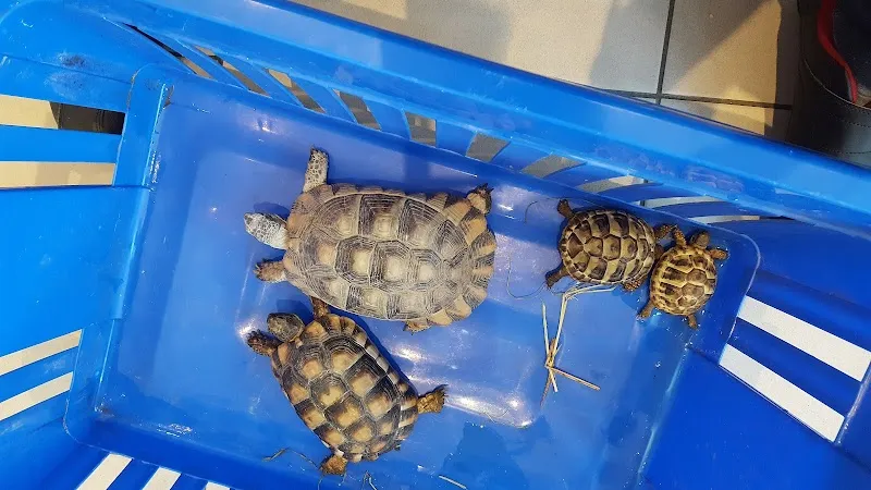 Cabinet Vétérinaire les Berges du Rhône — Tierarzt in Sion, Wallis. Bewertung 4.5/5.