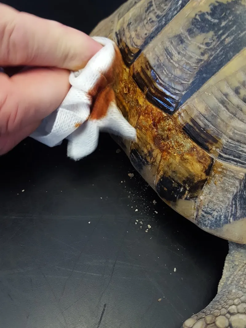 Cabinet Vétérinaire les Berges du Rhône — Veterinarian, Sion, Valais. Foto 2