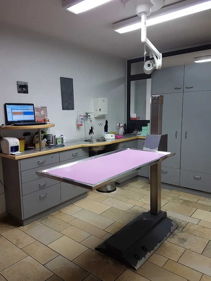 Cabinet vétérinaire Bonvin Rose-Marie — Tierarzt, Crans-Montana, Wallis. Foto 2