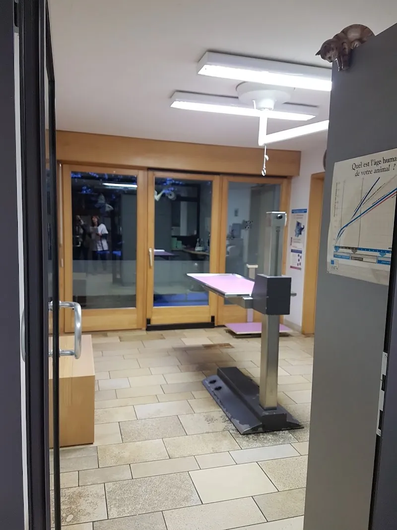 Cabinet vétérinaire Bonvin Rose-Marie — Tierarzt, Crans-Montana, Wallis. Foto 3