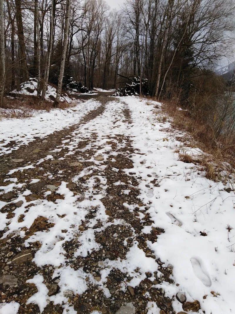 Pile Poils, Pauline Turrian — Katzenpension in Bulle, Freiburg. Bewertung 4.9/5.