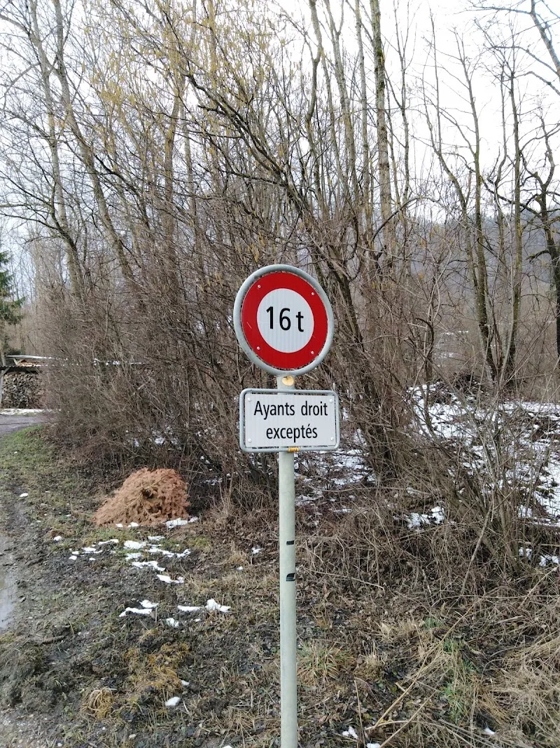 Pile Poils, Pauline Turrian — Pensione per gatti, Bulle, Friburgo. Foto 2