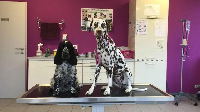 Kleintierpraxis Werlen AG — Tierarzt in Brig-Glis, Wallis. Bewertung 4.7/5.