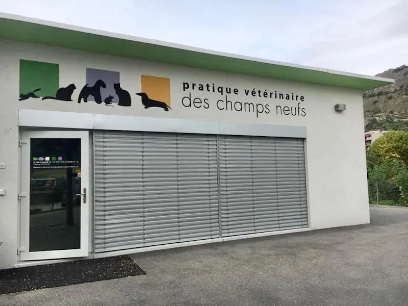 Pratique vétérinaire Champs Neufs — Vétérinaire, Sion, Valais. Foto 2