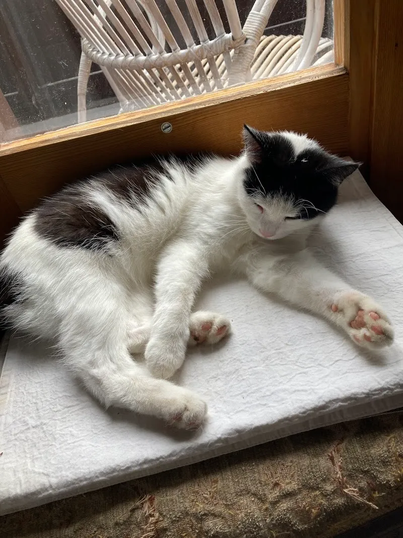 Tierarztpraxis am Rottu AG — Tierarzt in Naters, Wallis. Bewertung 4.7/5.