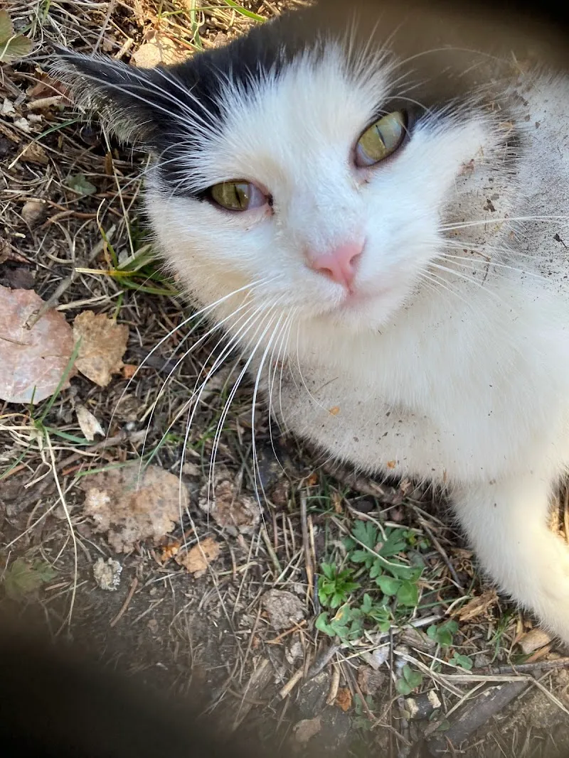 Tierarztpraxis am Rottu AG — Vétérinaire, Naters, Valais. Foto 2
