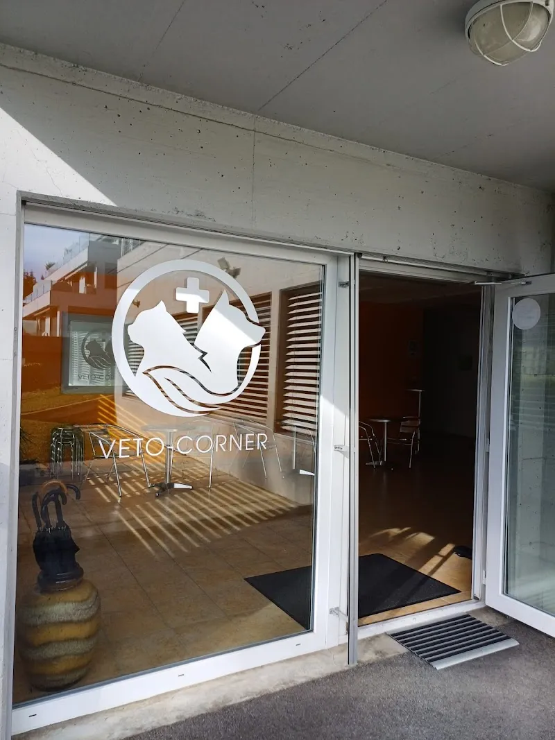 Veto-Corner sàrl — Veterinarian, Savièse, Valais. Foto 2