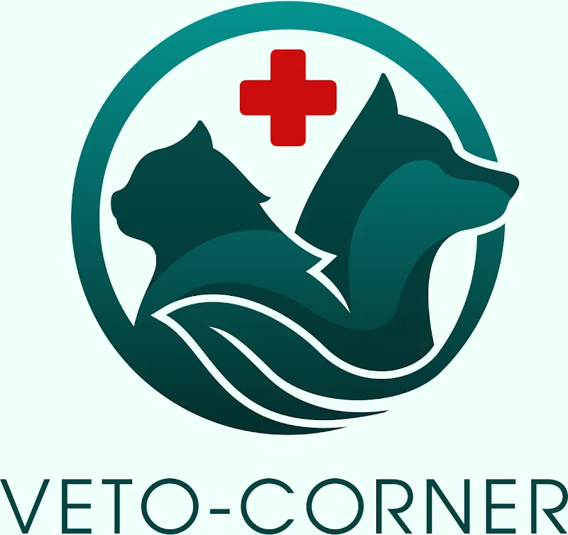 Veto-Corner sàrl — Veterinarian, Savièse, Valais. Foto 3