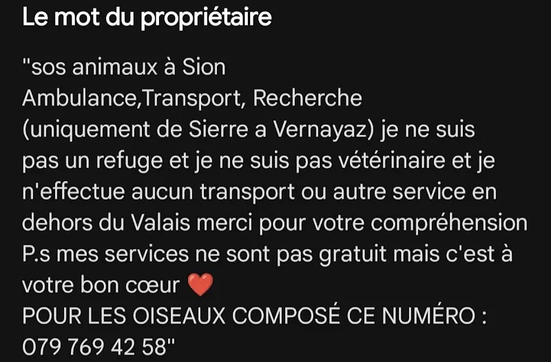 sos animaux a Sion (je ne suis pas vétérinaire) — Tierarzt, Sion, Wallis. Foto 2