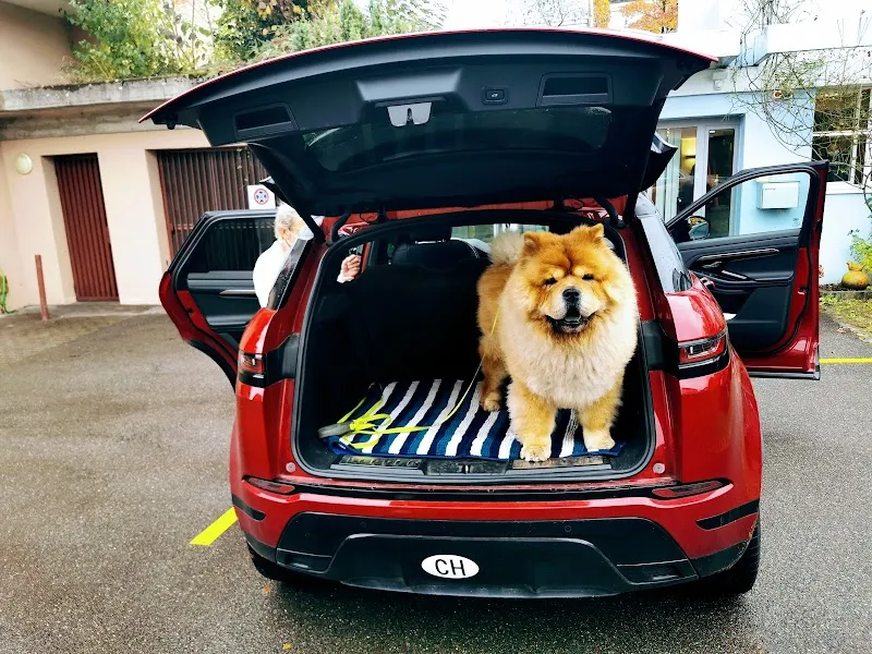 Dr. med. vet. Rohdewald Martin — Tierarzt, Oberwil bei Zug, Zug. Foto 2