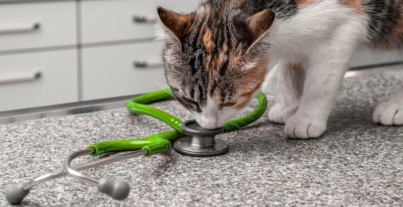 Haustierarztpraxis Baar — Tierarzt in Baar, Zug. Bewertung 4.8/5.