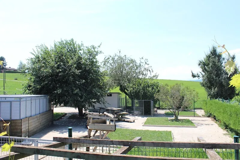 Pradog Sàrl — Katzenpension, Tatroz, Freiburg. Foto 3