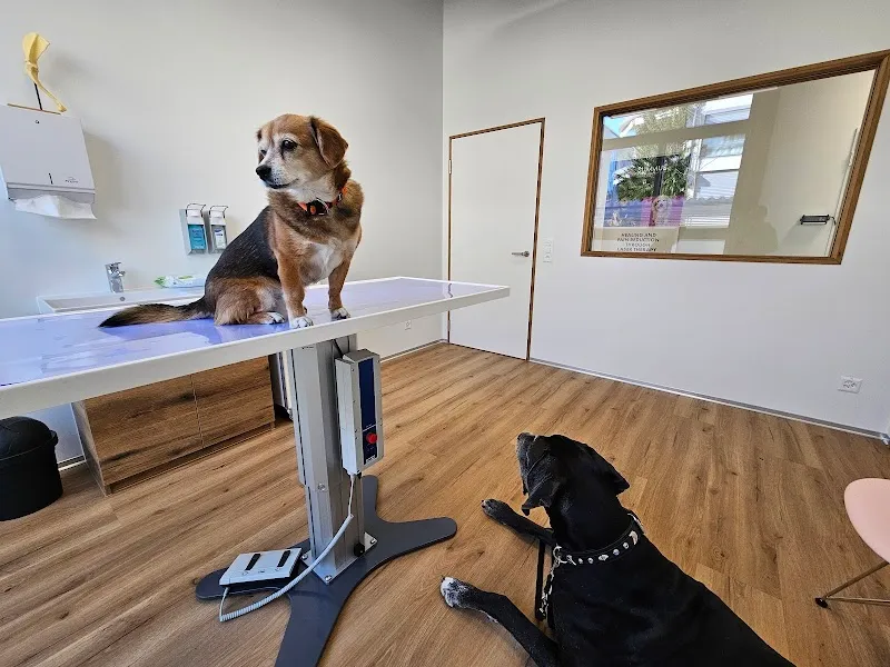 OCABEO Kleintierchirurgie AG — Tierarzt, Baar, Zug. Foto 2