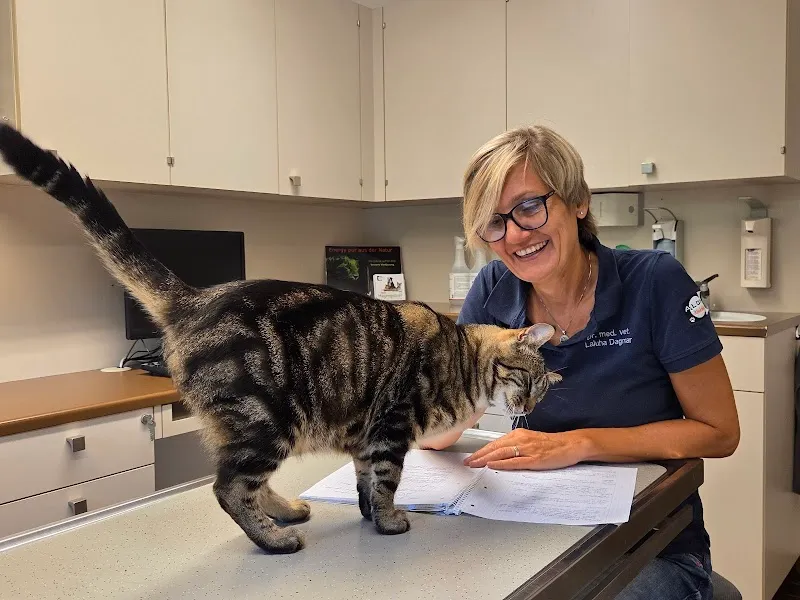 Aloha Kleintierpraxis GmbH — Tierarzt in Nürensdorf, Zürich. Bewertung 4.9/5.