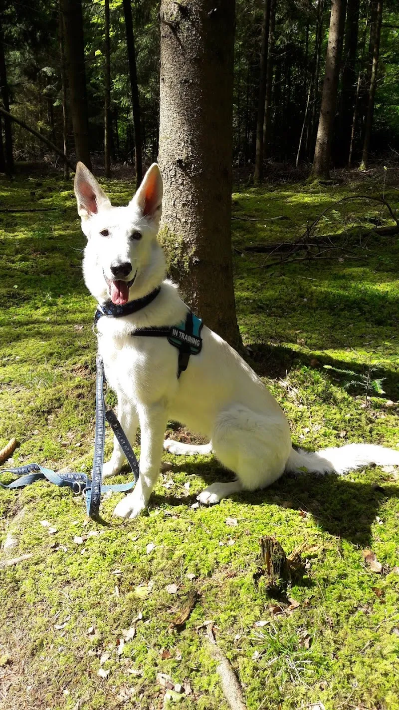 Aloha Kleintierpraxis GmbH — Tierarzt, Nürensdorf, Zürich. Foto 3