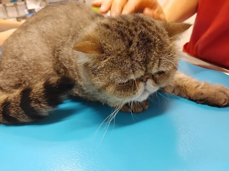 Andreaspark-Tierärzte — Tierarzt in Zürich, Zürich. Bewertung 4.7/5.