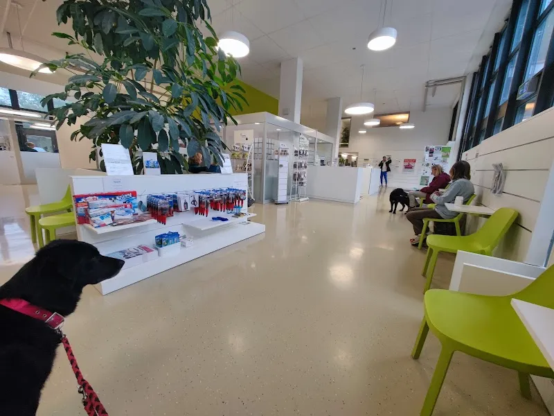 Bessy's Kleintierklinik — Tierarzt in Watt, Zürich. Bewertung 4.4/5.