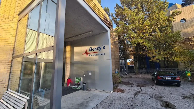 Bessy's Kleintierklinik — Tierarzt, Watt, Zürich. Foto 2