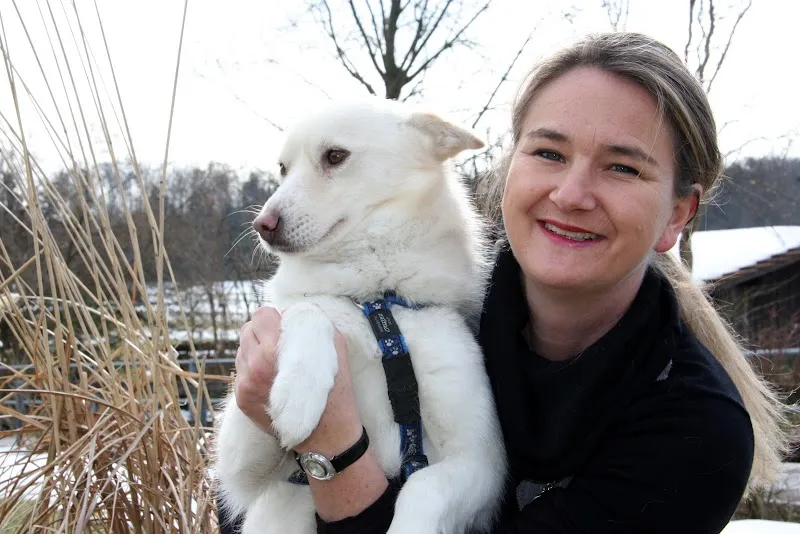 Dr. S.Hieronymus-Hombrechtikon — Tierarzt in Hombrechtikon, Zürich. Bewertung 5.0/5.