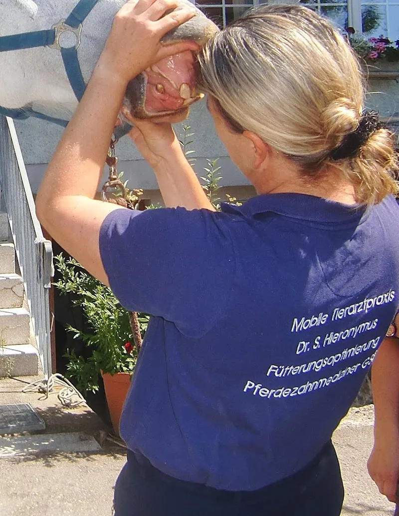 Dr. S.Hieronymus-Hombrechtikon — Tierarzt, Hombrechtikon, Zürich. Foto 3