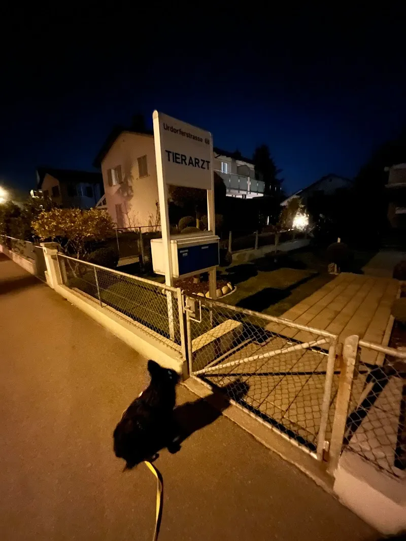 Dr. med. vet. Bachmann Max — Tierarzt in Schlieren, Zürich. Bewertung 4.6/5.