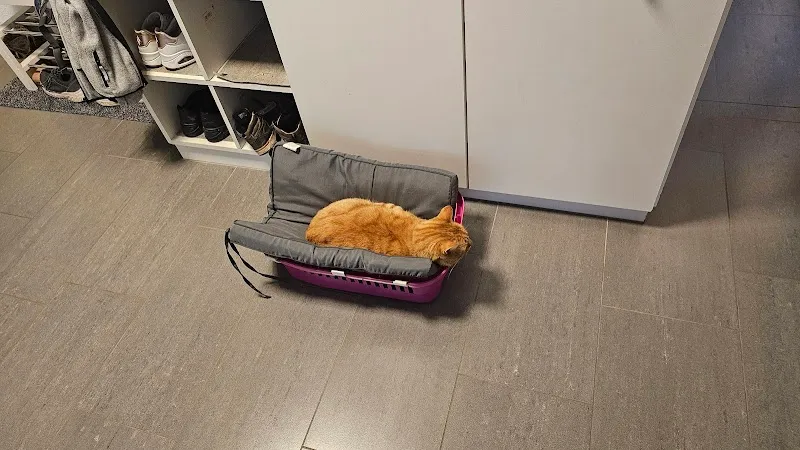 Dr. med. vet. Bachmann Max — Vétérinaire, Schlieren, Zurich. Foto 3