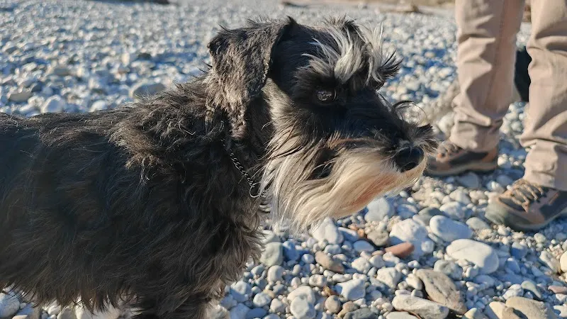 Dr. med. vet. Kaspar Rohner — Tierarzt in Niederglatt, Zürich. Bewertung 4.6/5.