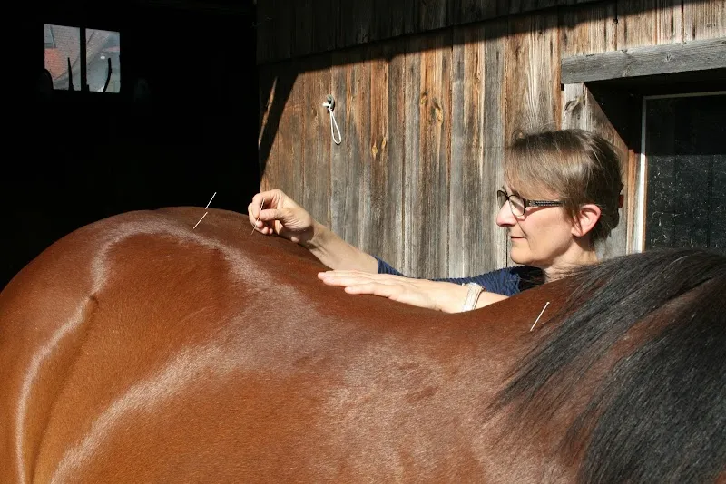 Dr. med. vet. Keller Bettina — Tierarzt in Uster, Zürich. Bewertung 5.0/5.