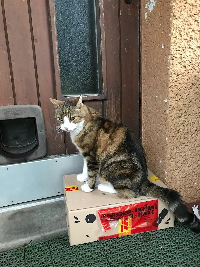 Dr. med. vet. Zita Spänhauer — Tierarzt, Dielsdorf, Zürich. Foto 2