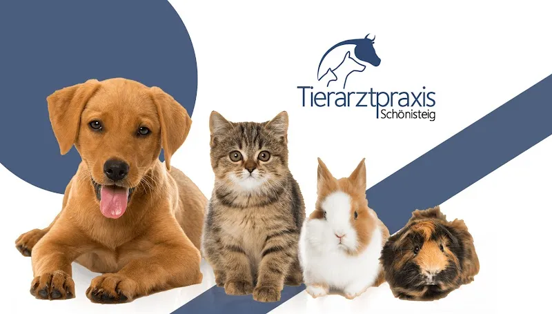 Dr.med.vet K. Karlovich — Tierarzt in Bassersdorf, Zürich. Bewertung 4.8/5.