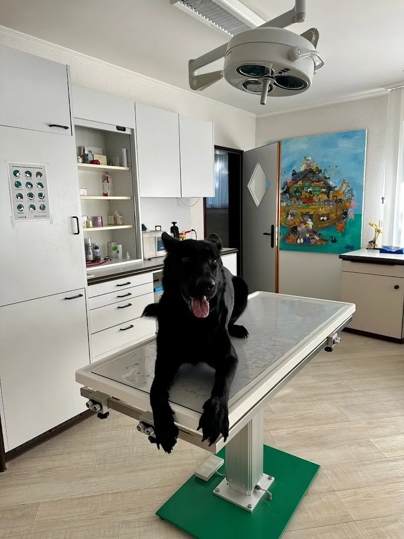 Dr.med.vet K. Karlovich — Tierarzt, Bassersdorf, Zürich. Foto 2