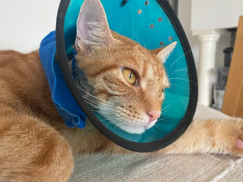 Dr.med.vet. Andreas Peter — Tierarzt in Winterthur, Zürich. Bewertung 4.6/5.