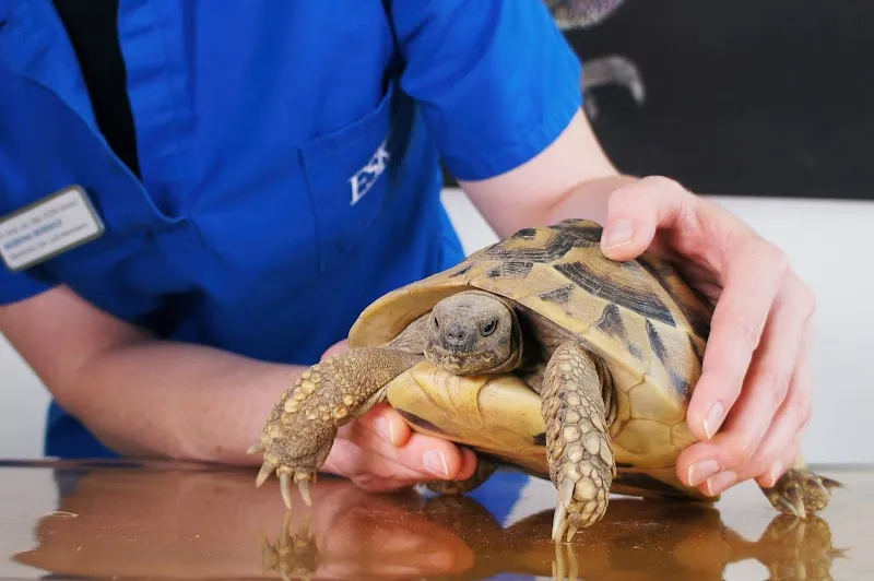 ENNETSeeKLINIK für Kleintiere — Veterinarian, Hünenberg, Zug. Foto 3
