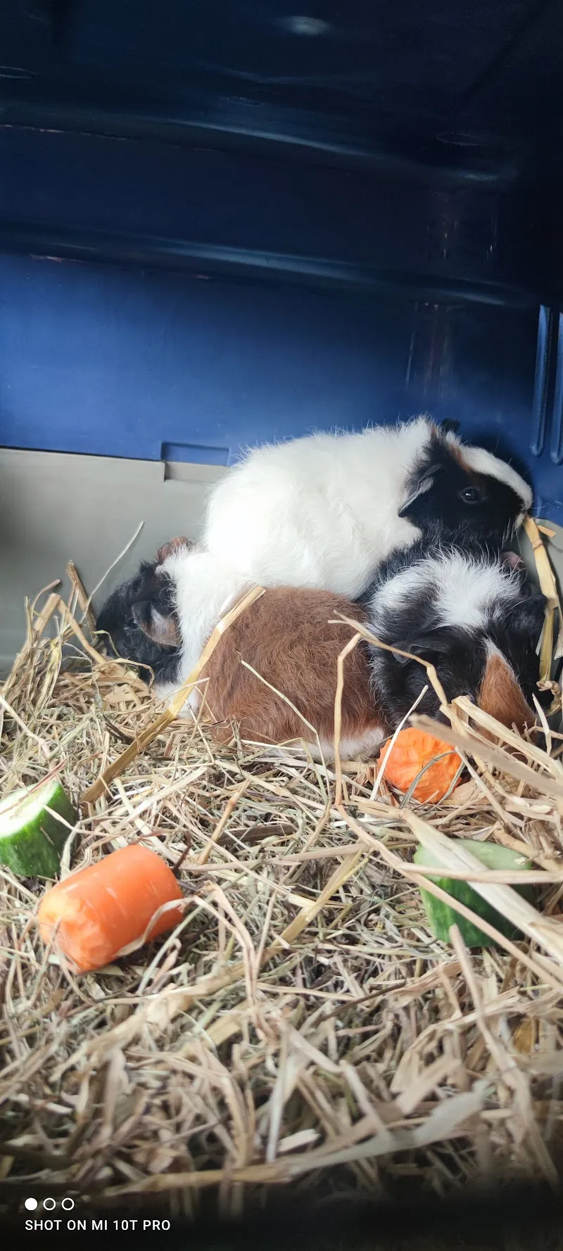 Exotenpraxis — Tierarzt, Cham, Zug. Foto 3