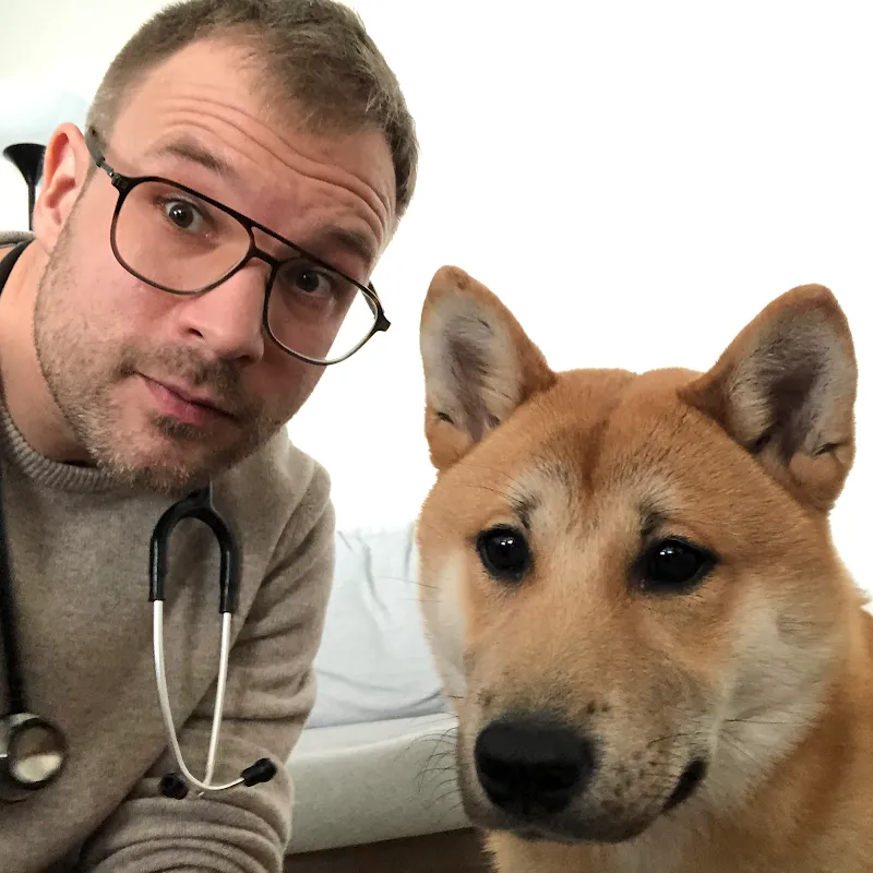 HausVet - Mobiler Tierarzt in Zürich — Vétérinaire, Zürich, Zurich. Foto 2