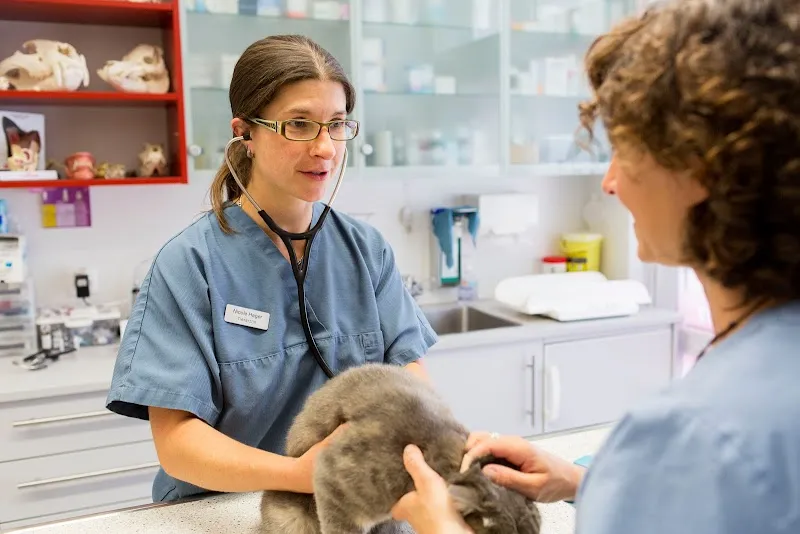 KLEINTIERPRAXIS NICOLE HAGER — Tierarzt in Gossau, Zürich. Bewertung 4.6/5.