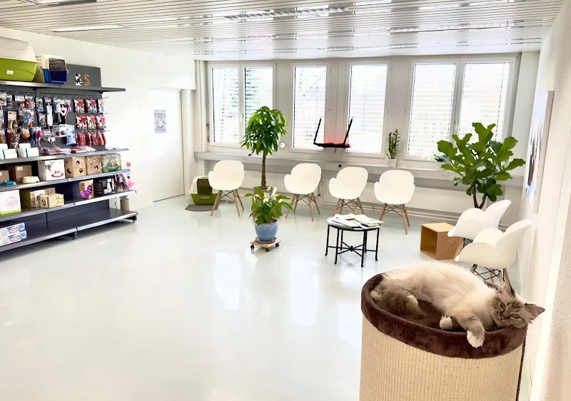 Katzen-Praxis.ch — Tierarzt, Horgen, Zürich. Foto 2