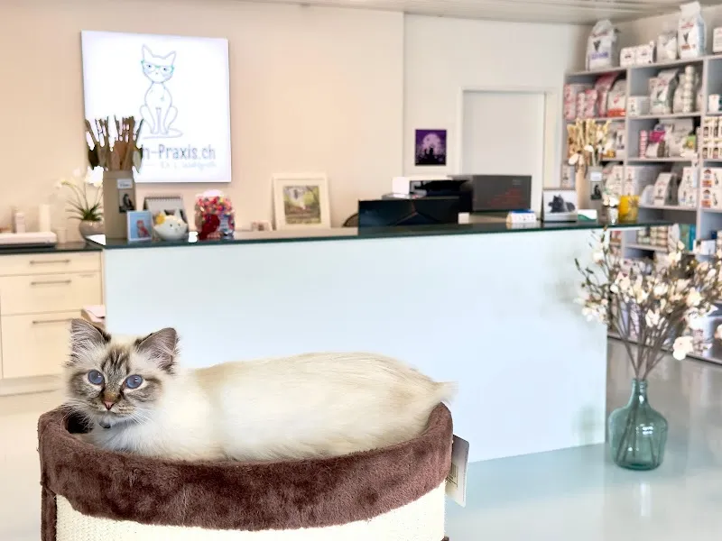 Katzen-Praxis.ch — Tierarzt, Horgen, Zürich. Foto 3