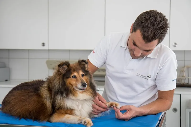 Kipfer Kleintierchirurgie — Tierarzt in Egg, Zürich. Bewertung 4.9/5.
