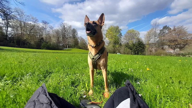 Kipfer Kleintierchirurgie — Tierarzt, Egg, Zürich. Foto 2