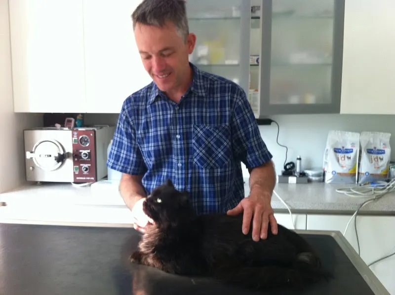 Klein & Grosstierpraxis Rohr — Veterinarian, Wiesendangen, Zurich. Foto 2