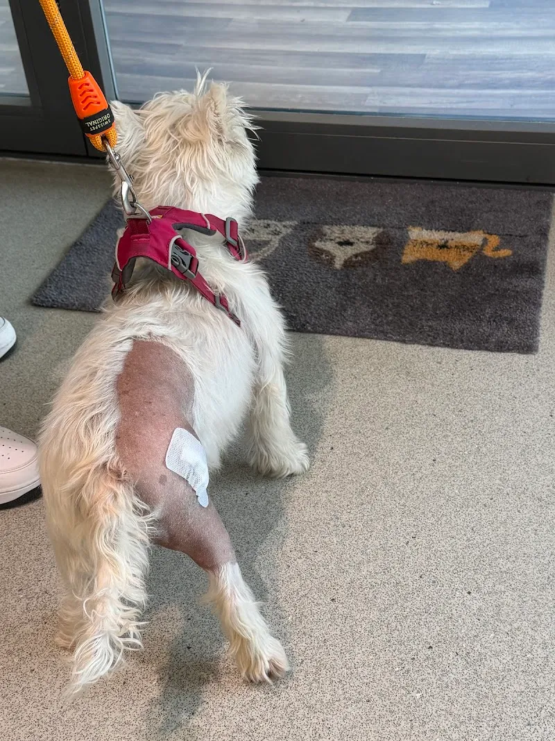 Kleintierklinik Oberstrass AG — Veterinarian, Zürich, Zurich. Foto 2