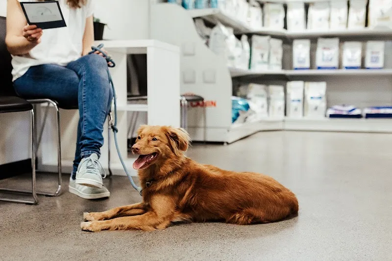 Kleintierpraxis ACR — Tierarzt in Winterthur, Zürich. Bewertung 4.7/5.