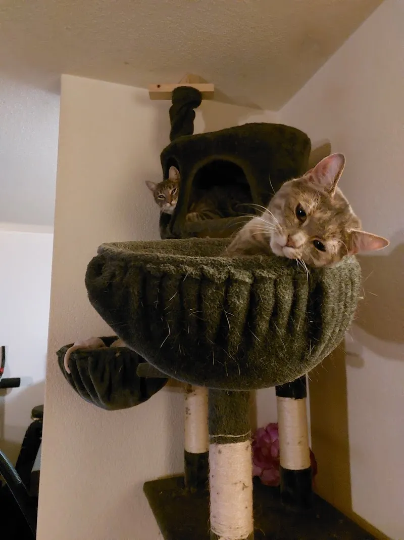 Kleintierpraxis Burlet — Tierarzt, Rümlang, Zürich. Foto 2