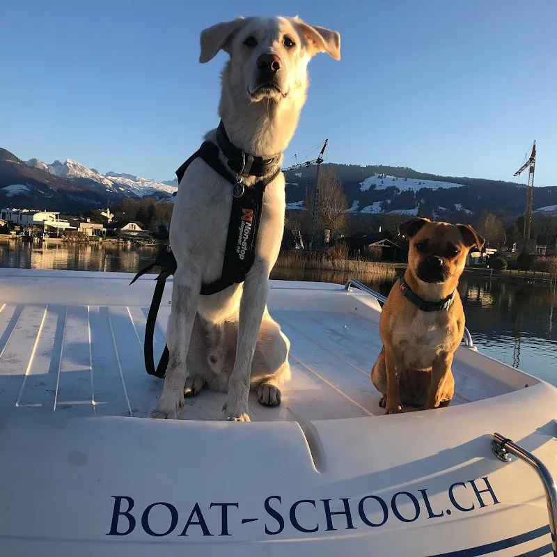 Kleintierpraxis Camen — Tierarzt, Rapperswil-Jona, Zürich. Foto 3