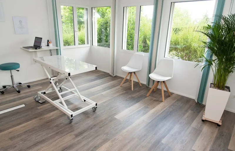 Kleintierpraxis Dr. Claudia Keller — Vétérinaire, Ebmatingen, Zurich. Foto 3