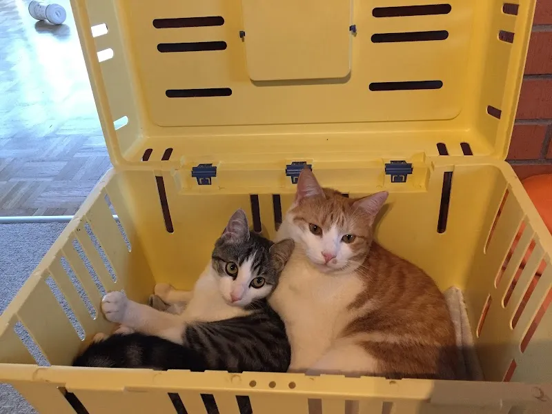 Kleintierpraxis Dr. Dittus — Tierarzt in Winterthur, Zürich. Bewertung 4.8/5.