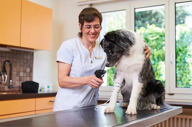 Kleintierpraxis Dr. Dittus — Tierarzt, Winterthur, Zürich. Foto 2